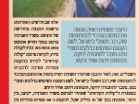 עמדות טעינה לרכבים חשמליים במרחב העירוני